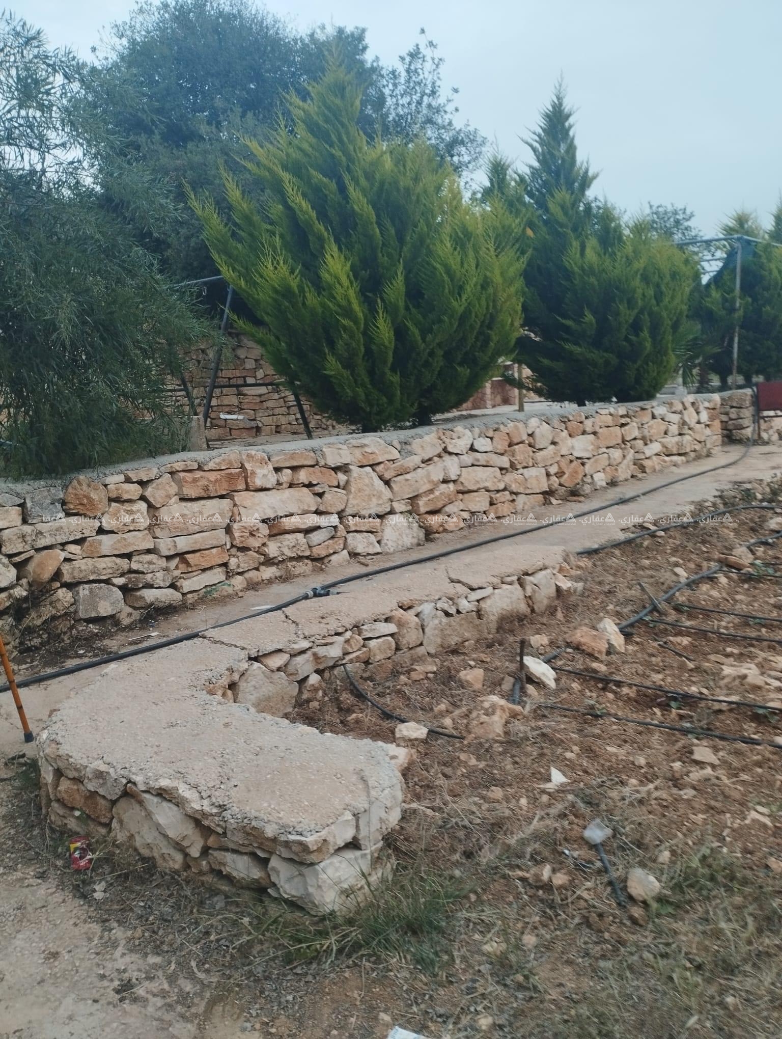 قطعة أرض مطلة ومشجرة للبيع