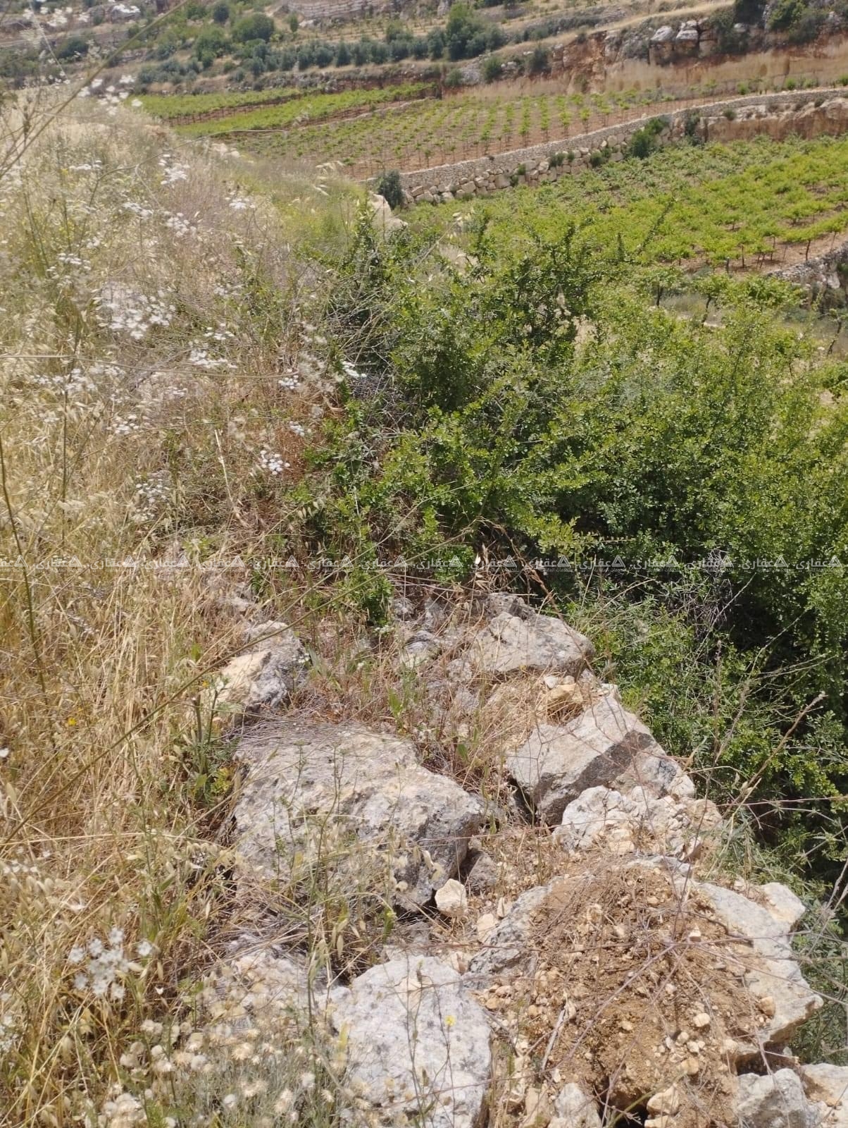 قطعة أرض للبيع بسعر مغري 