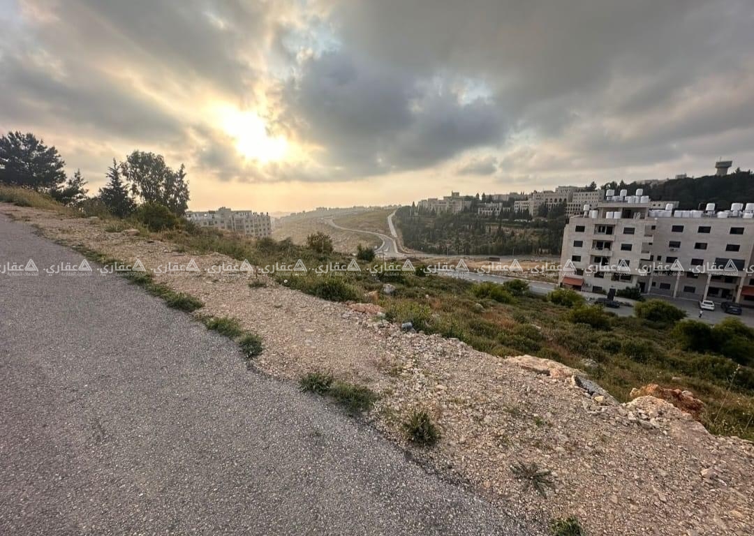 دونم للبيع مقابل الجامعة