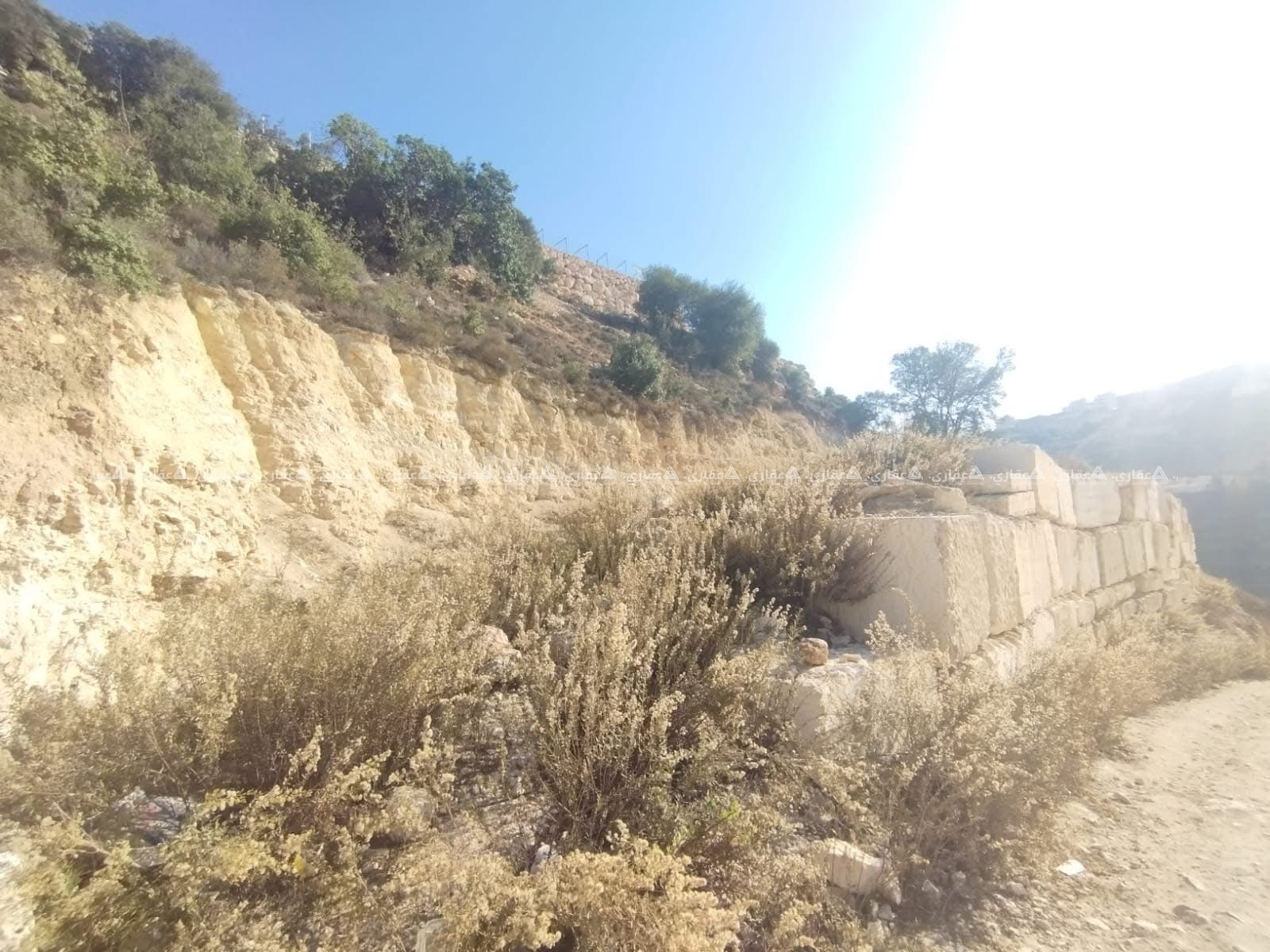 قطعة أرض للبيع بسعر مغري 