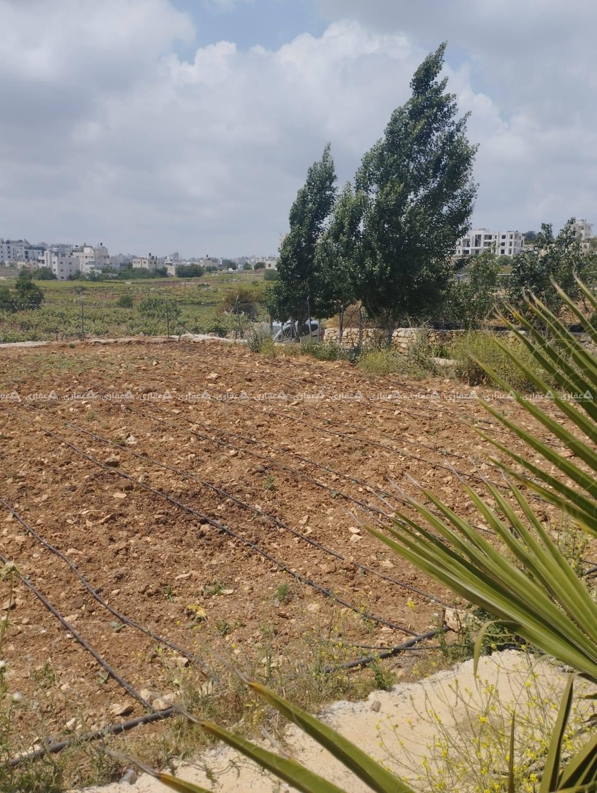 قطعة أرض مميزة جداً للبيع