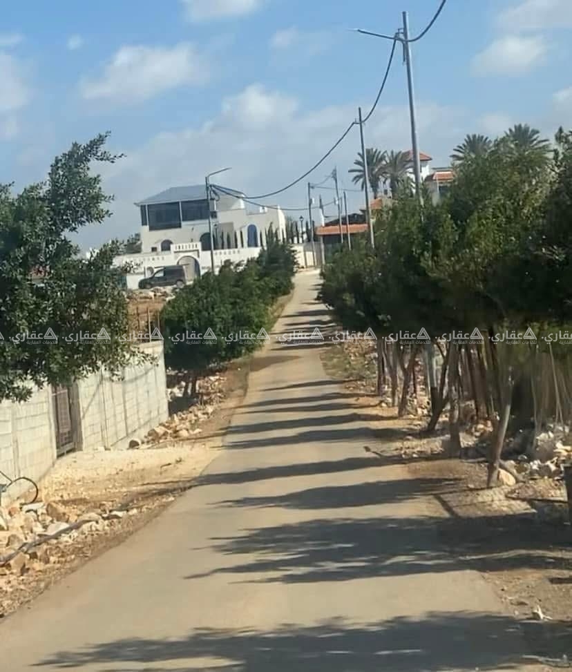 قطعة أرض مرتفعة وعالية للبيع