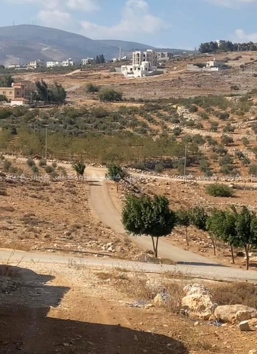 قطعة أرض مرتفعة وعالية للبيع