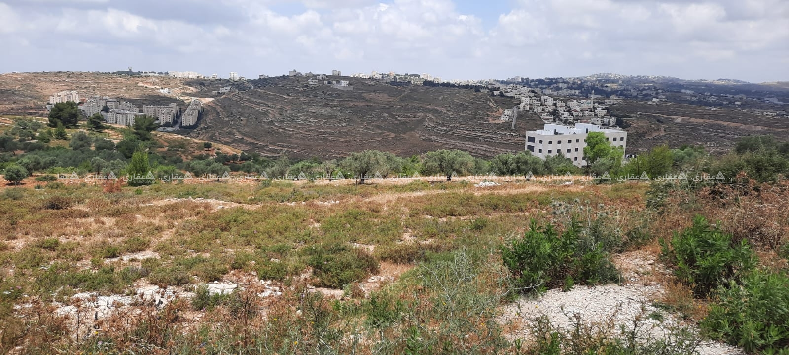 قطعة ارض سكنية في سردا