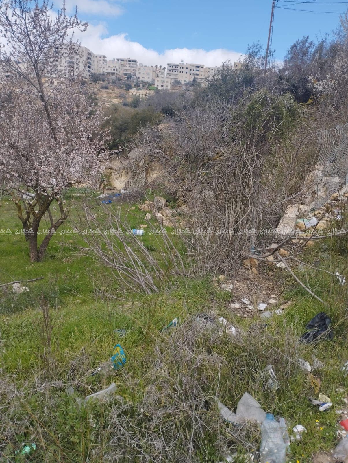 قطعة أرض للبيع وسط الخدمات