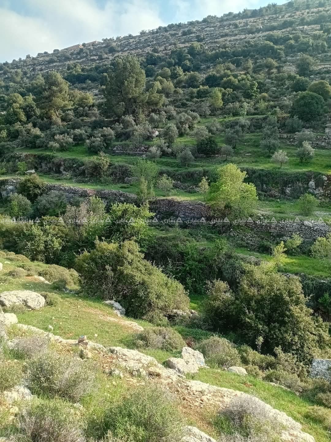 قطعة أرض للبيع 