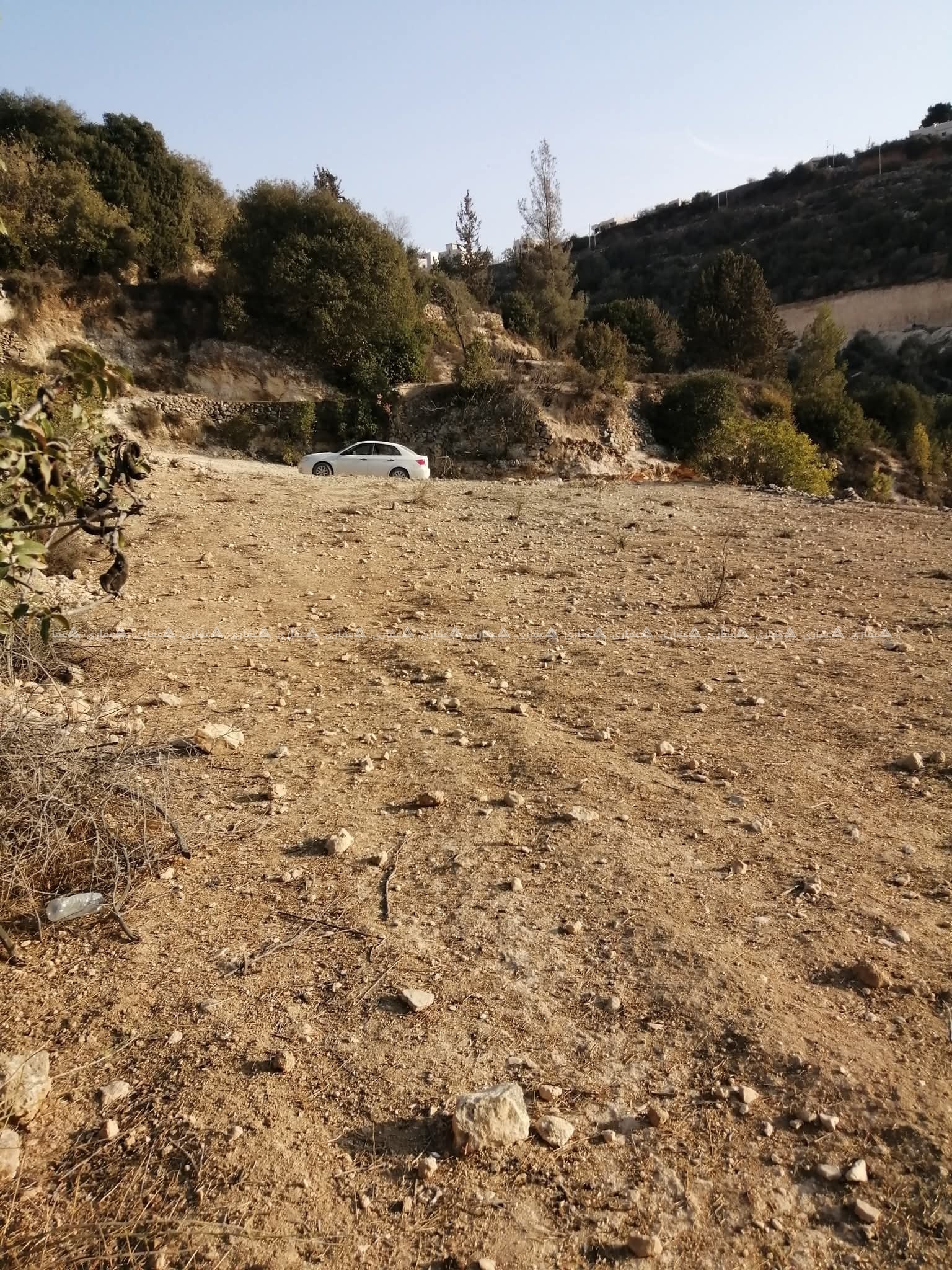 أرض مستويه للبيع بسعر مغري