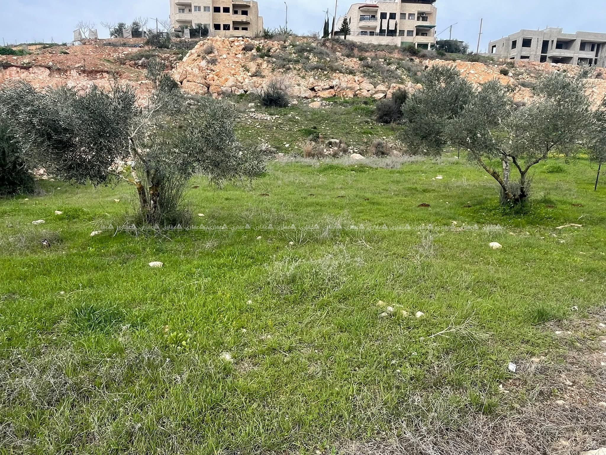 قطعة أرض للبيع  - اسكان المعلمين