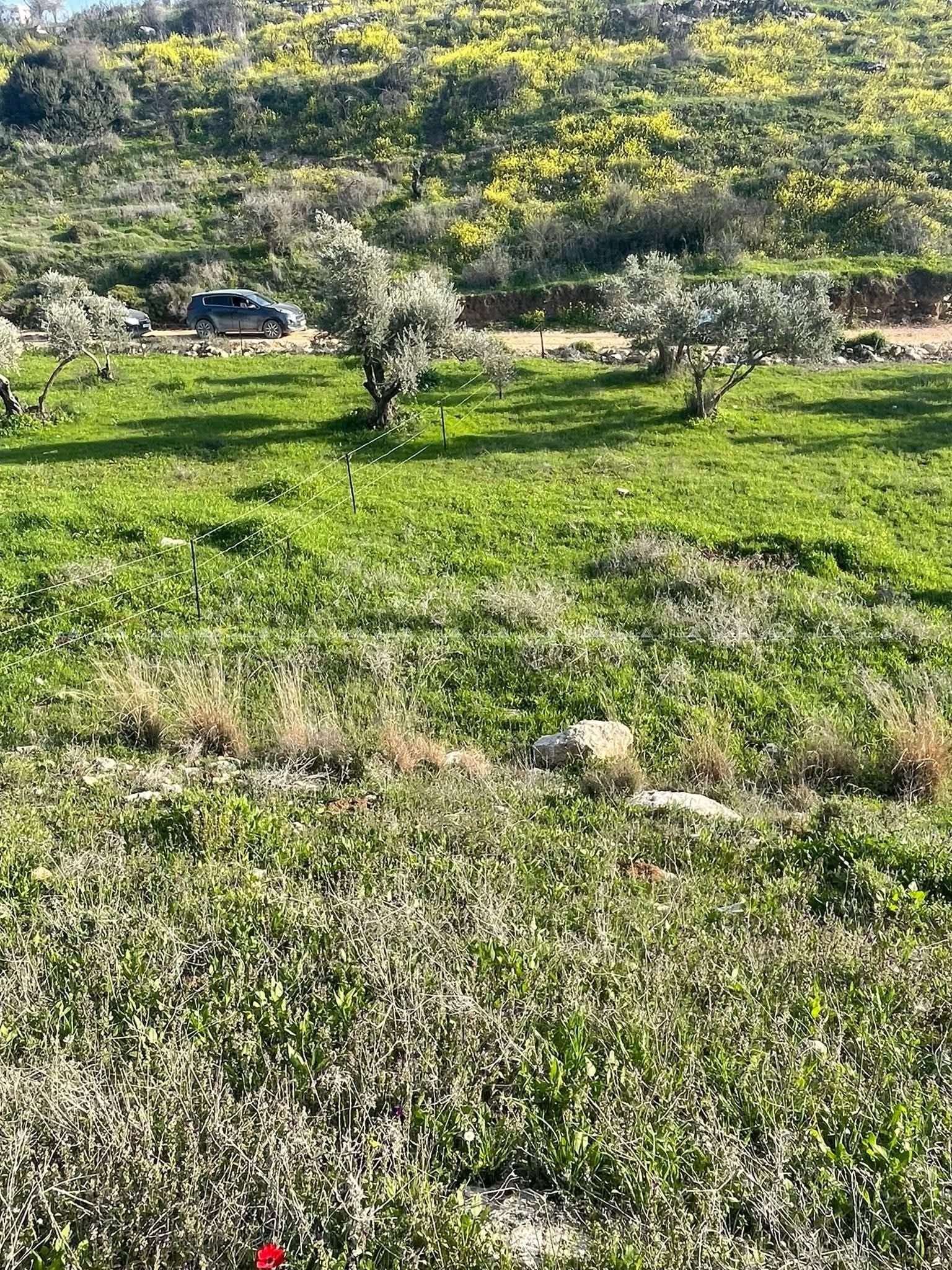 قطعة أرض للبيع  - اسكان المعلمين