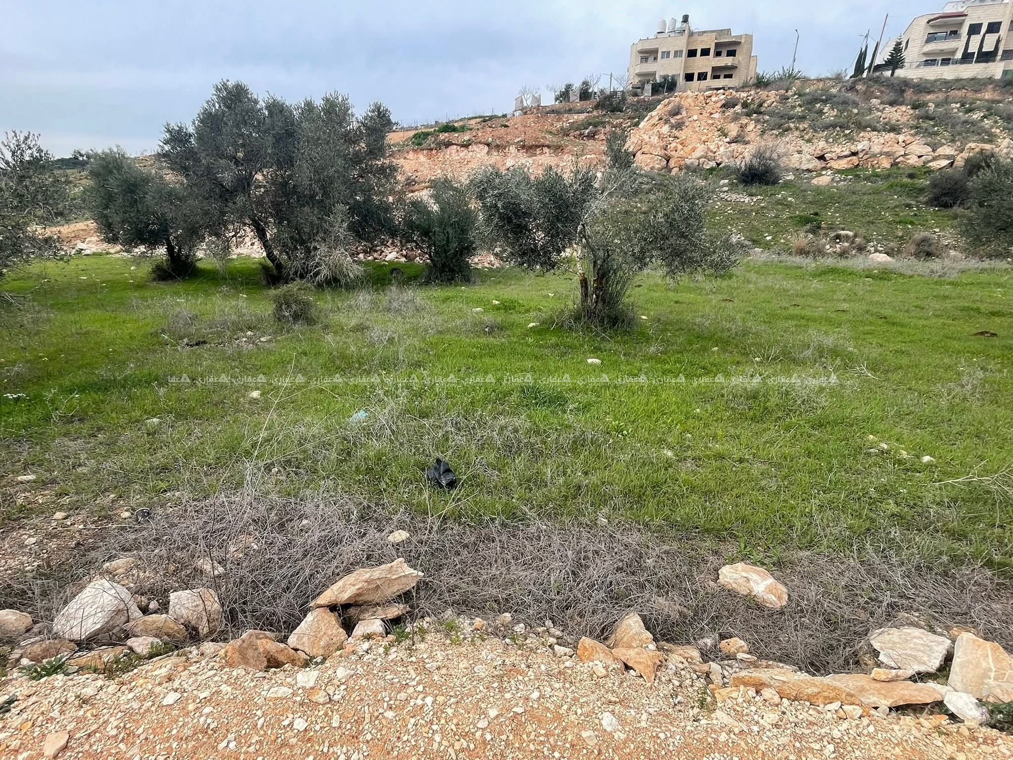 قطعة أرض للبيع  - اسكان المعلمين