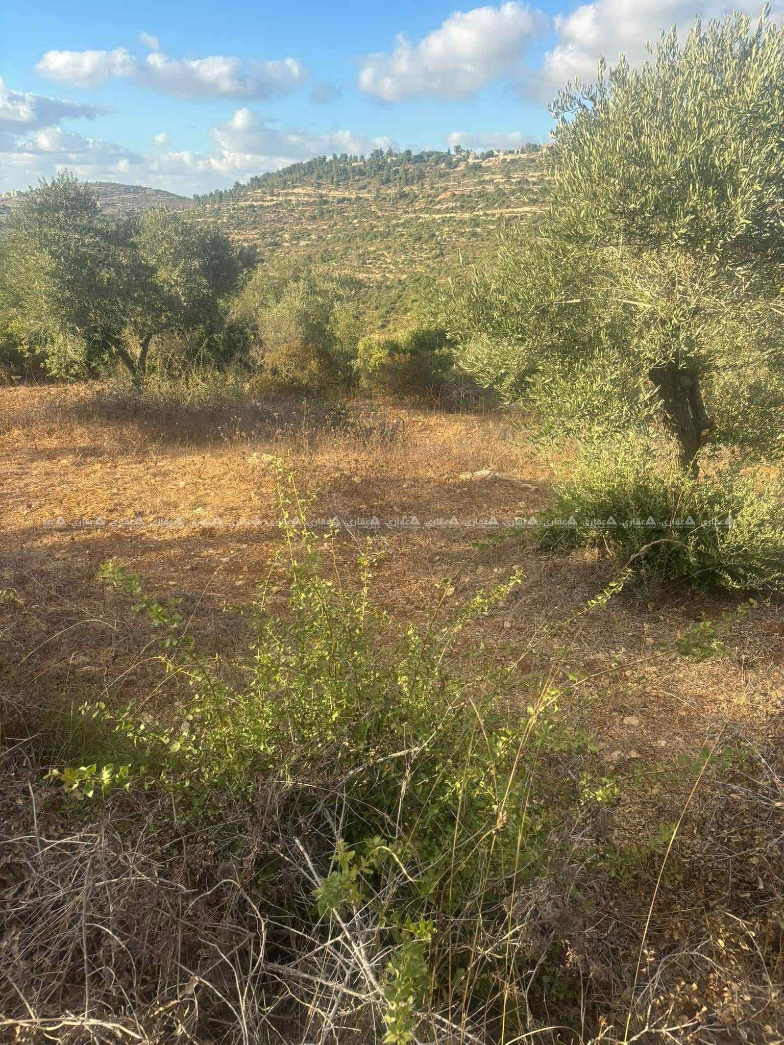 قطعة أرض للبيع