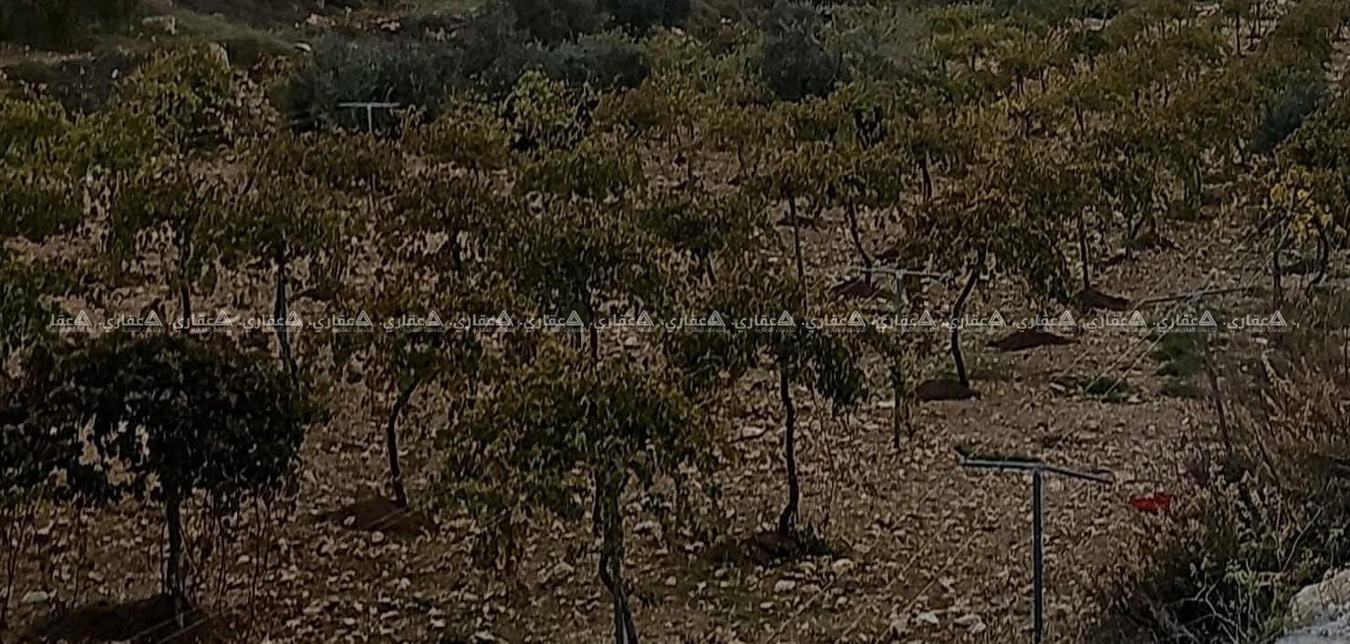 أرض مميزة في موقع راقٍ وهادئ