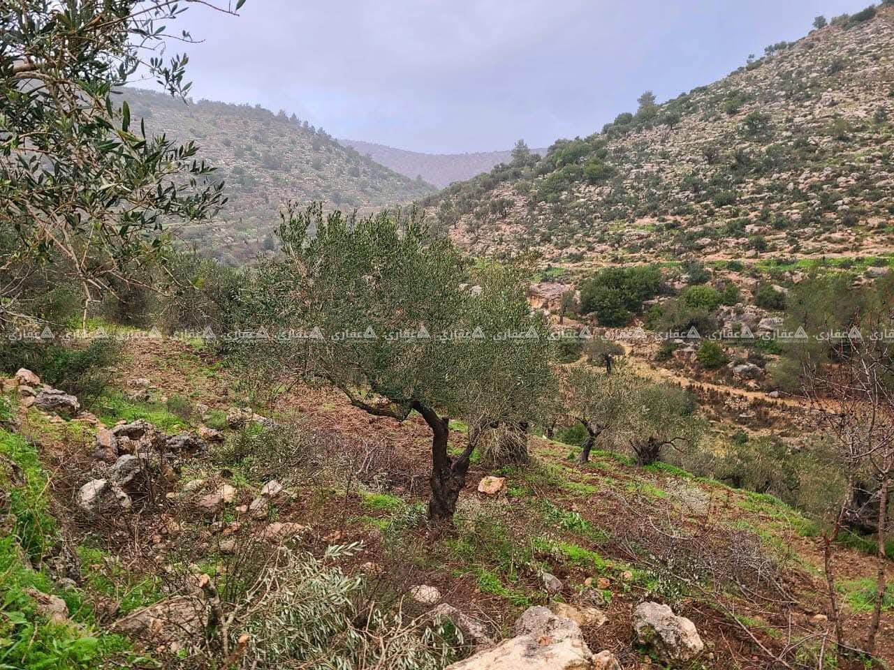 قطعة أرض للبيع بجانب أرض شركة الاتحاد
