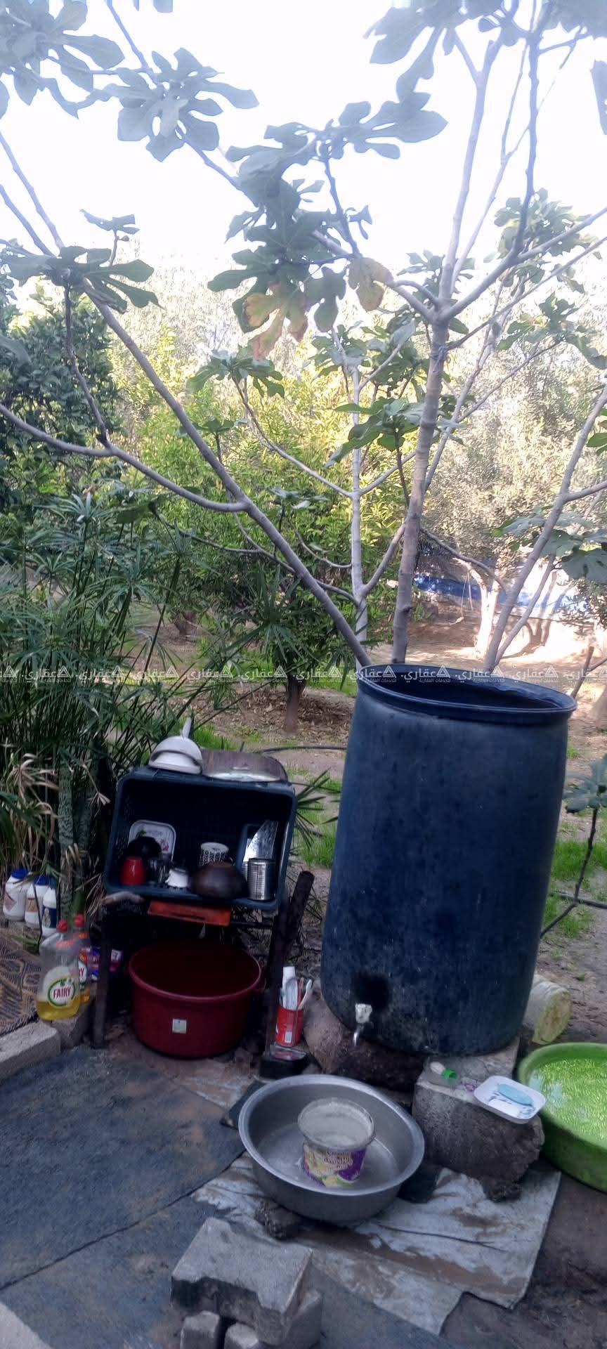 أرض مشجرة للبيع