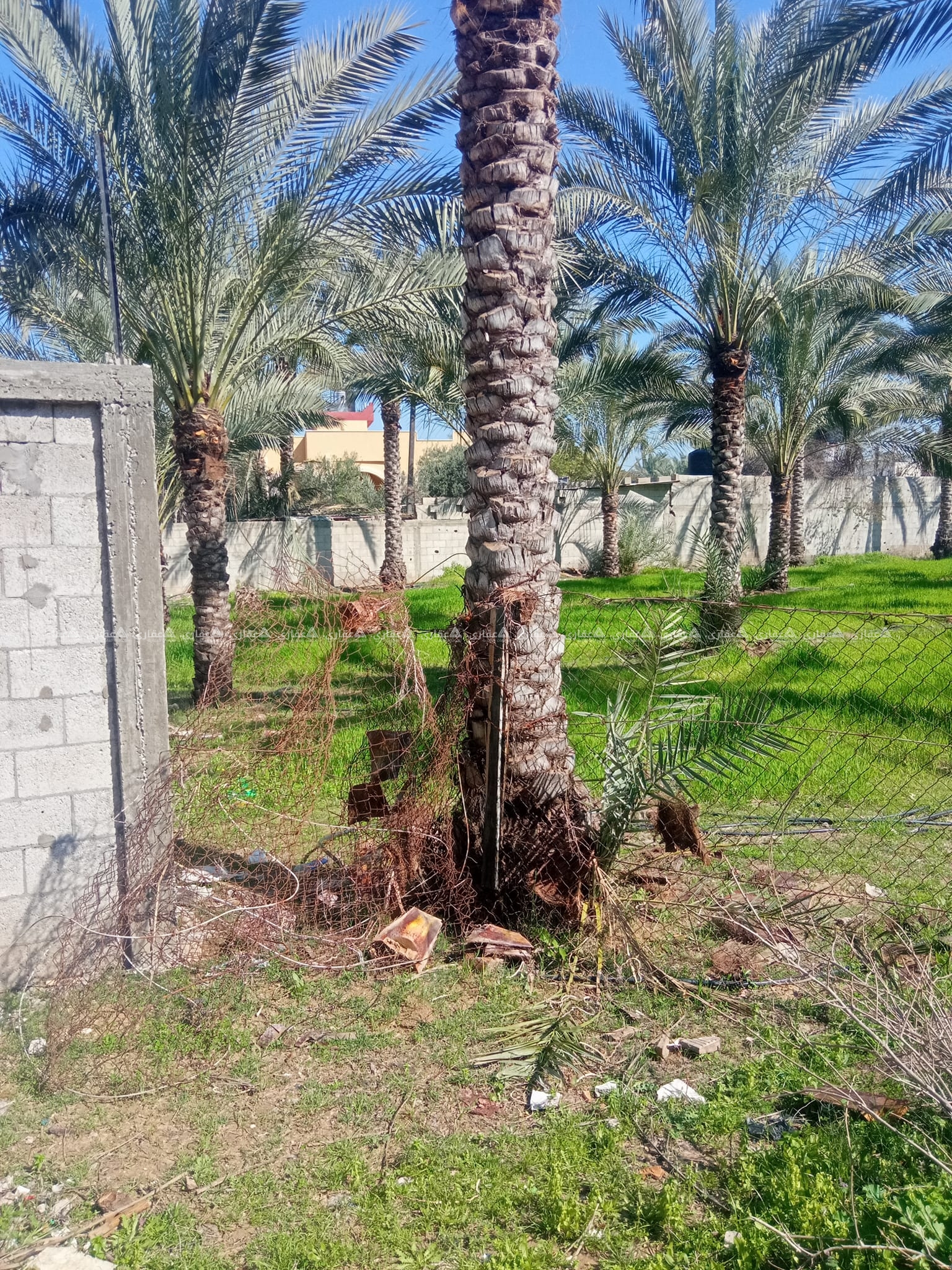  قطعه أرض للبيع  غرب ملعب الذره 