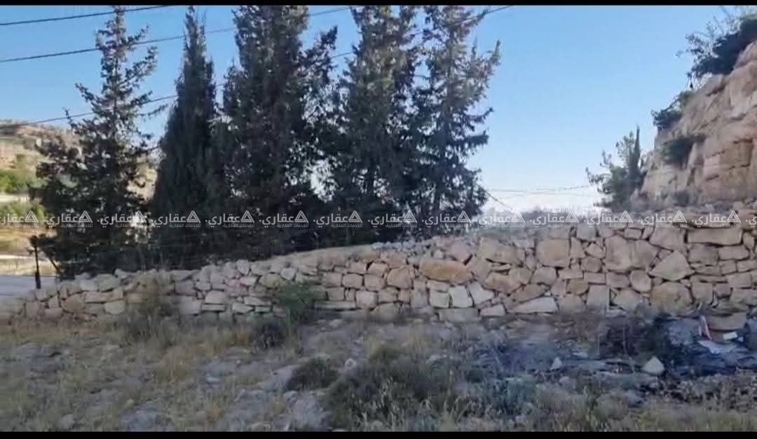 قطعة أرض مميزة للبيع في لوزا ـ الخليل