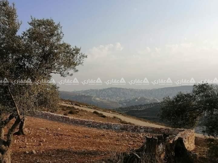 أرض طابو مستوية للبيع  