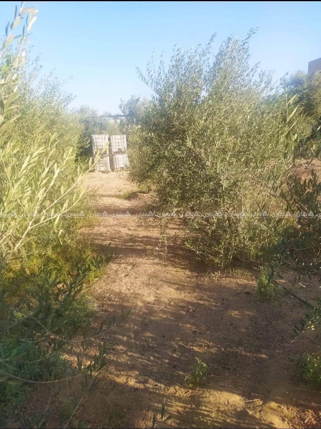 قطعة أرض بالقرب من مدرسة الفرقان
