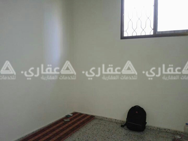 دتر للبيع زينقو