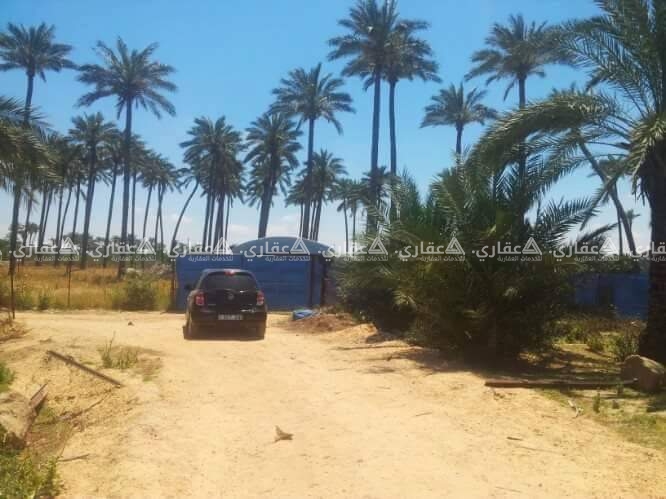 ارض مميزة بتطل على البحر وطابو