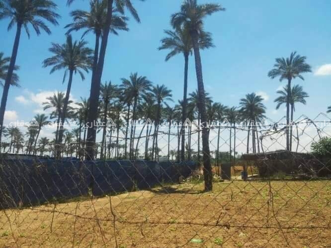 ارض مميزة بتطل على البحر وطابو
