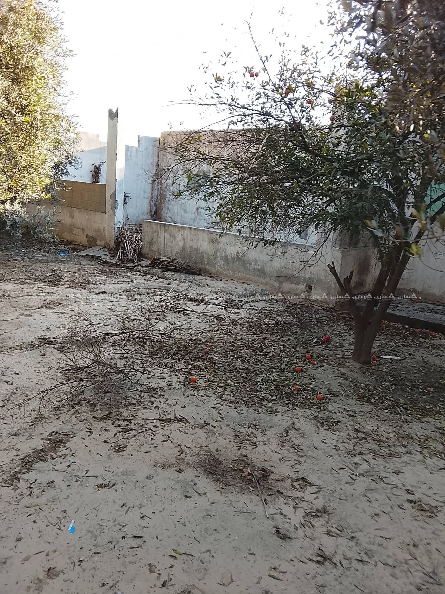 قطعة ارض مسورة للبيع