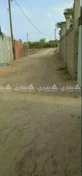 قطعة أرض خلف شاليه الربيع