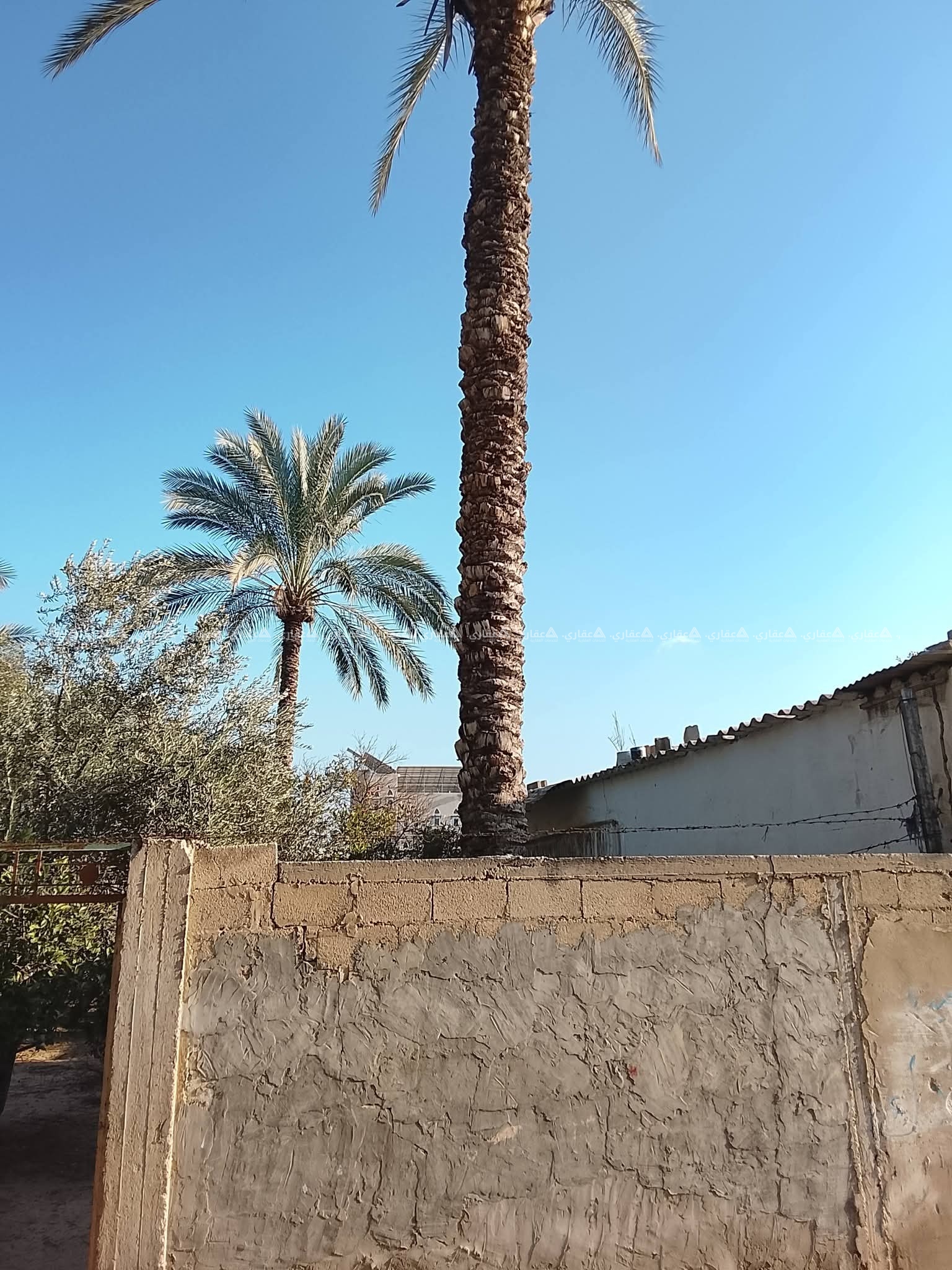 قطعة ارض مسورة للبيع