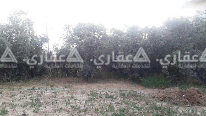 أرض للبيع