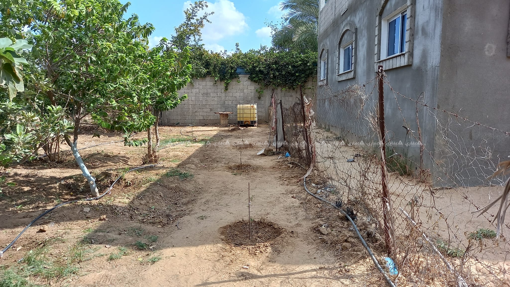 قطعة أرض مشجرة شجر مثمر