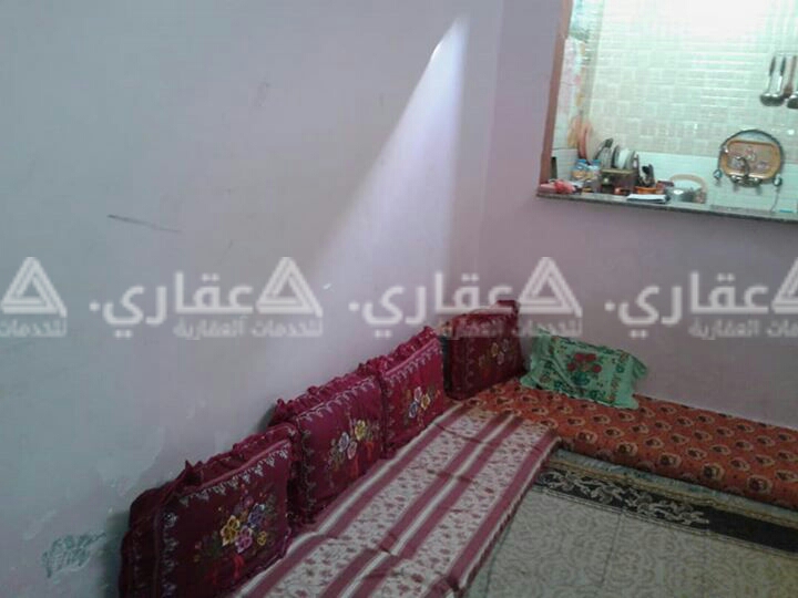 دتر للبيع زينقو