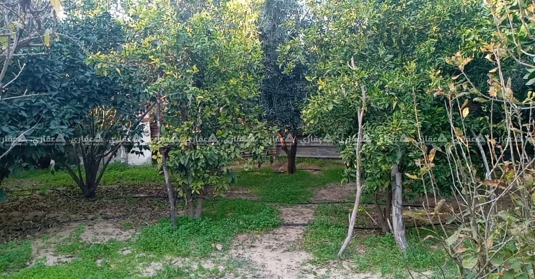 قطعة أرض محيط البلدية