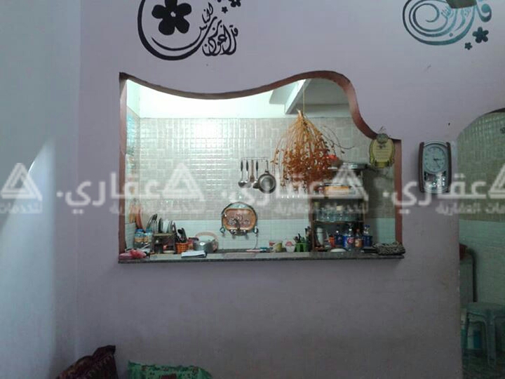 دتر للبيع زينقو