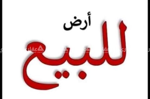 غزة 