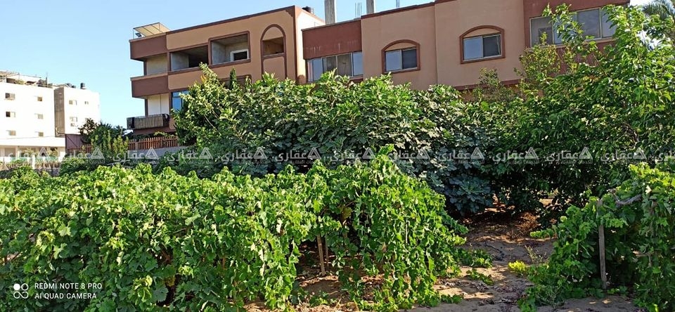 قطعة أرض بمنطقة الشيخ عجلين