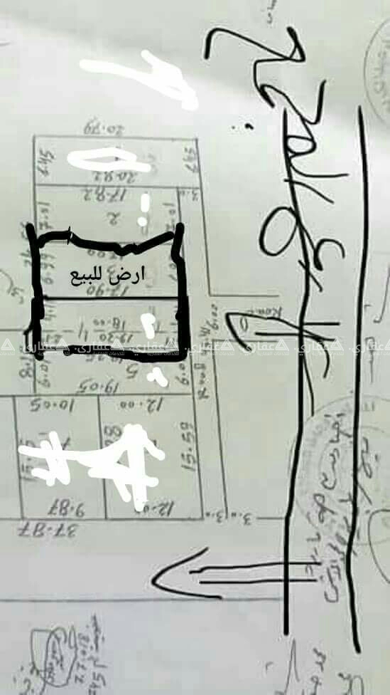 ارض