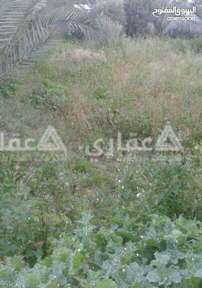 ارض للبيع او البدل