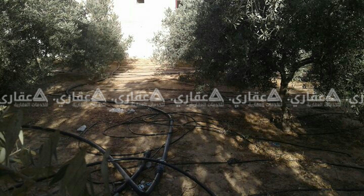 ارض للبيع قريبة من البحر