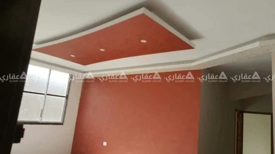 شقتين في عمارة جديدة
