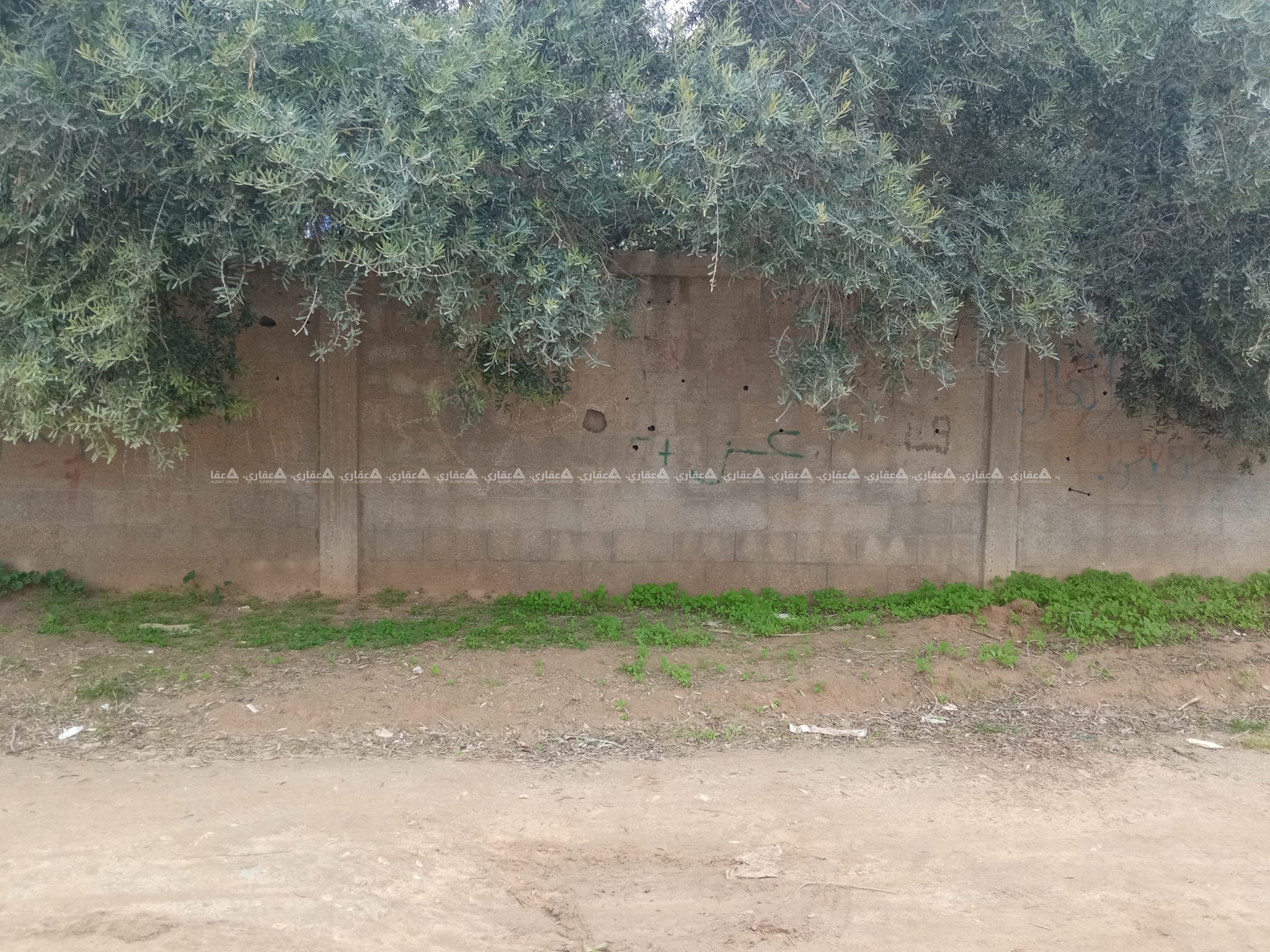 قطعة أرض للبيع