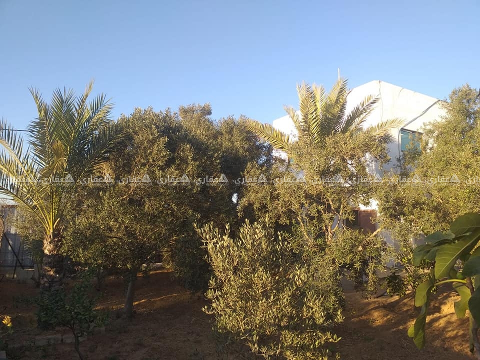 قطعة أرض للبيع