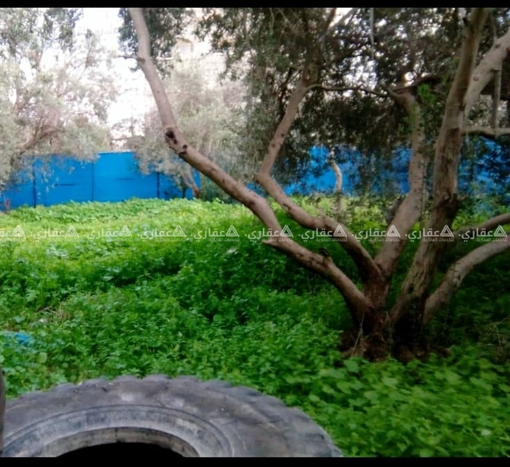 قطعة ارض في البريج